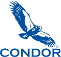 Condor Earth Logo