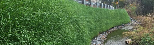 Filtrexx GreenLoxx Vegetated Wall and Slope Systems