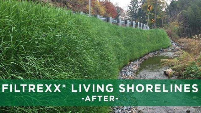 Filtrexx Living Shorelines Parkway After