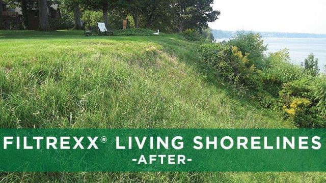 Filtrexx Living Shorelines Lake Erie After
